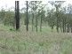 Cinnabar QLD 4600