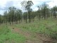 Cinnabar QLD 4600