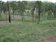 Cinnabar QLD 4600