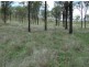 Cinnabar QLD 4600
