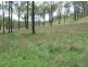 Cinnabar QLD 4600