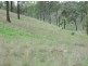 Cinnabar QLD 4600
