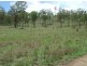 Cinnabar QLD 4600