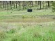 Cinnabar QLD 4600