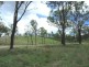 Cinnabar QLD 4600