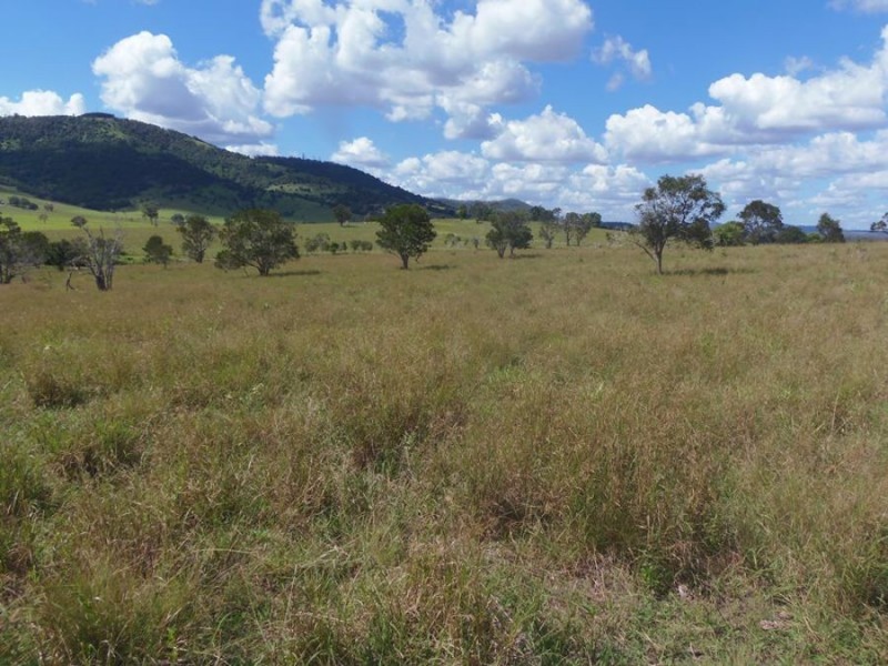 Lot 1 Scrub Road, Gunalda QLD 4570