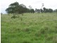 Lot 1 Scrub Road, Gunalda QLD 4570