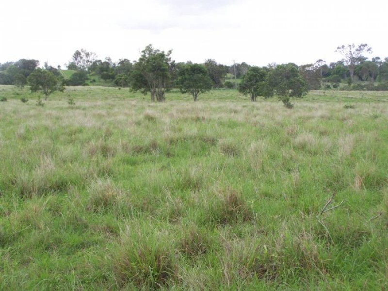Lot 1 Scrub Road, Gunalda QLD 4570