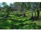 Wolvi QLD 4570