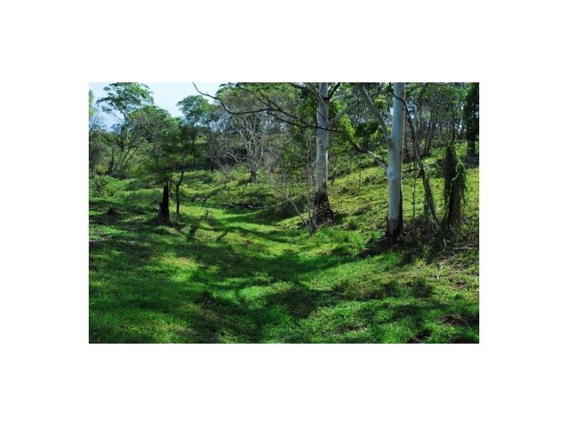 Wolvi QLD 4570