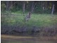 Tamaree QLD 4570