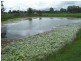 Gundiah QLD 4650