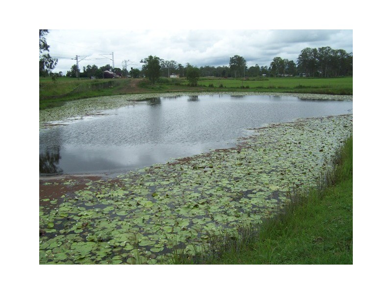 Gundiah QLD 4650