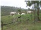 Tansey QLD 4601