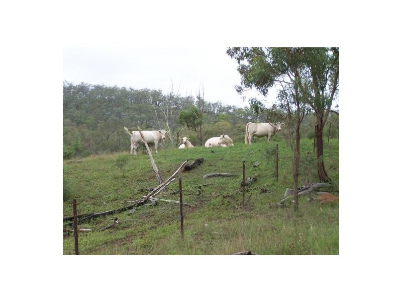 Tansey QLD 4601
