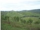 Tansey QLD 4601