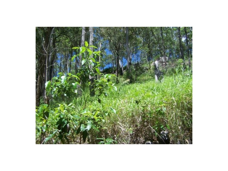 Glastonbury QLD 4570