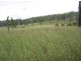 Kilkivan QLD 4600