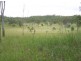 Kilkivan QLD 4600