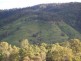 Widgee QLD 4570