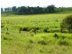 Langshaw QLD 4570