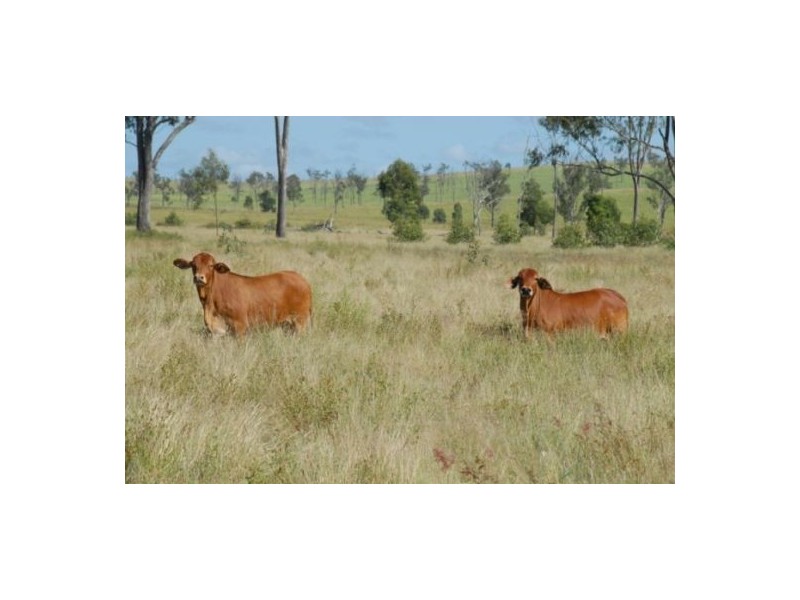 Hawkwood QLD 4626