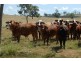 Hawkwood QLD 4626