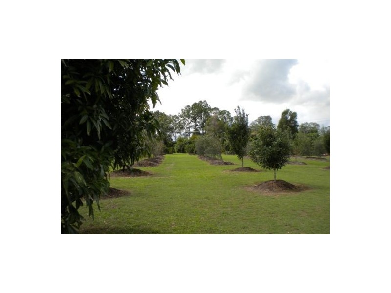 81 Jimbour Road, The Palms QLD 4570