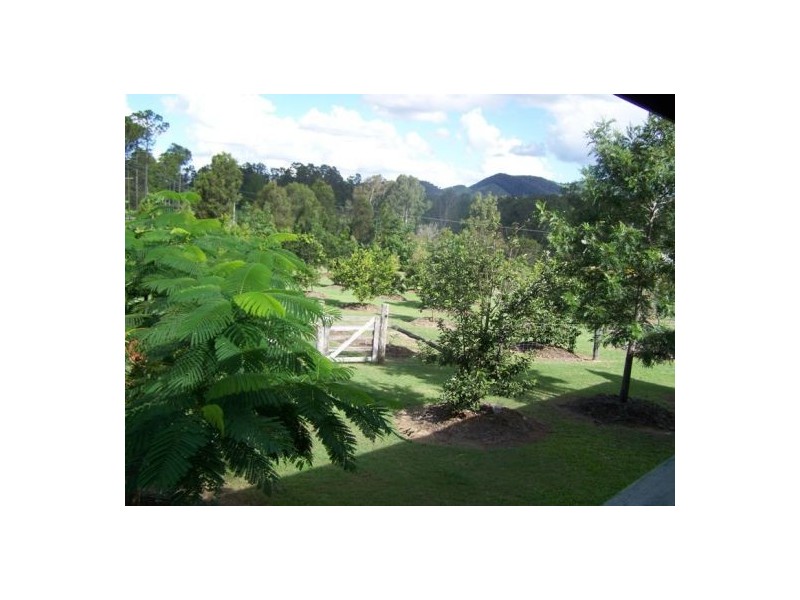81 Jimbour Road, The Palms QLD 4570