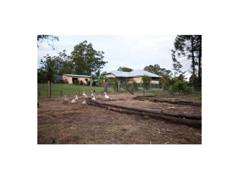 81 Jimbour Road, The Palms QLD 4570