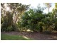81 Jimbour Road, The Palms QLD 4570
