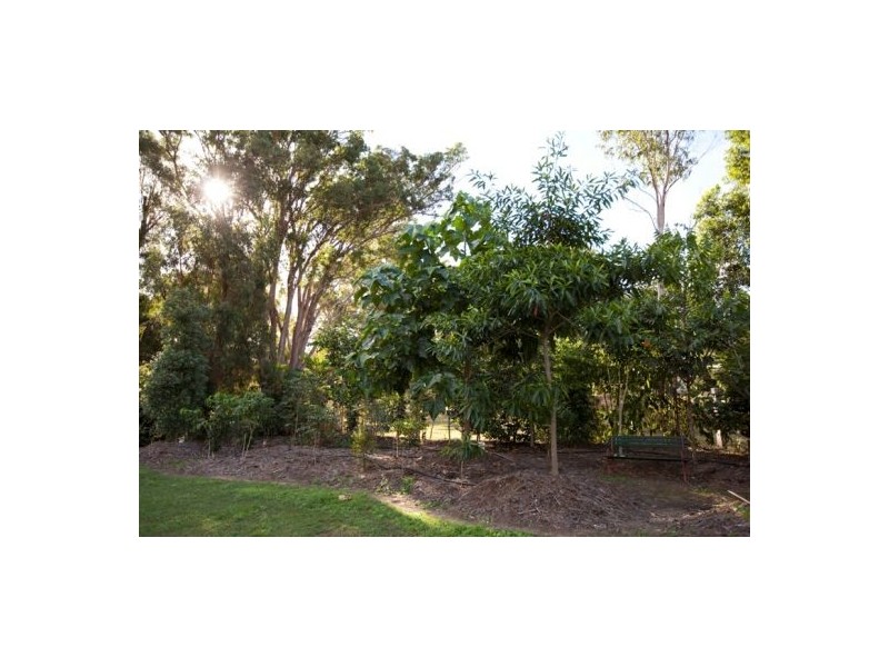 81 Jimbour Road, The Palms QLD 4570