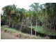81 Jimbour Road, The Palms QLD 4570