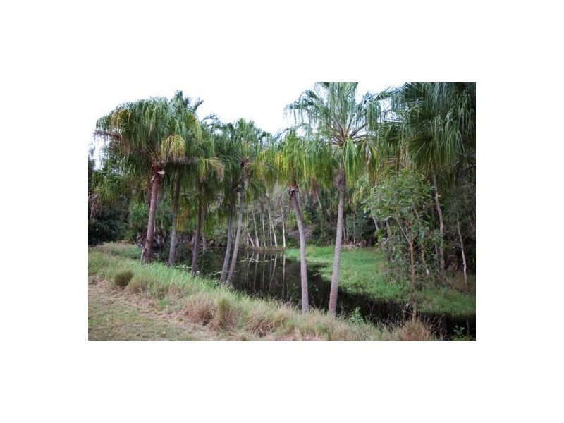 81 Jimbour Road, The Palms QLD 4570