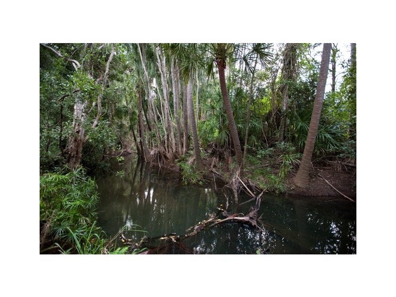 81 Jimbour Road, The Palms QLD 4570