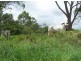 Coondoo QLD 4570