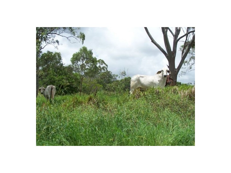Coondoo QLD 4570