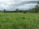 Coondoo QLD 4570