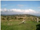 L2 Repeater Station Road, Gunalda QLD 4570