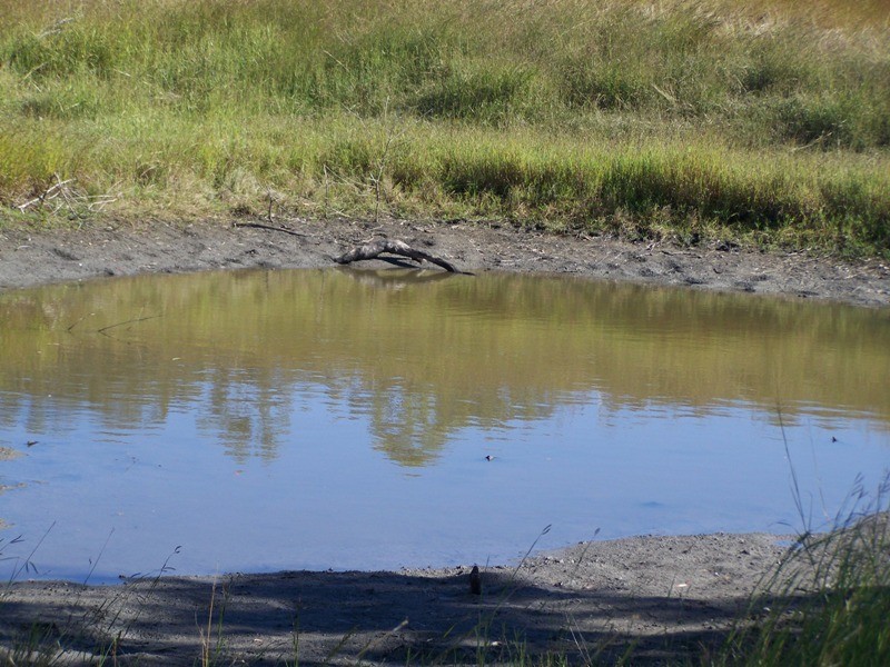 Kilkivan QLD 4600