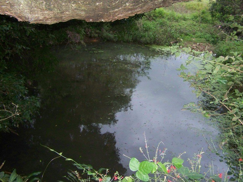 Goomboorian QLD 4570