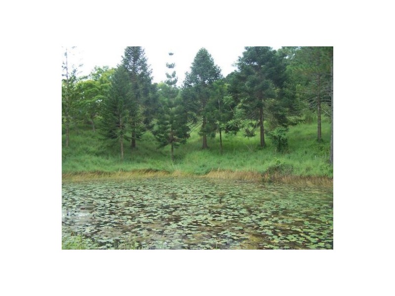 Mothar Mountain QLD 4570