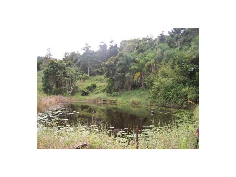 Mothar Mountain QLD 4570