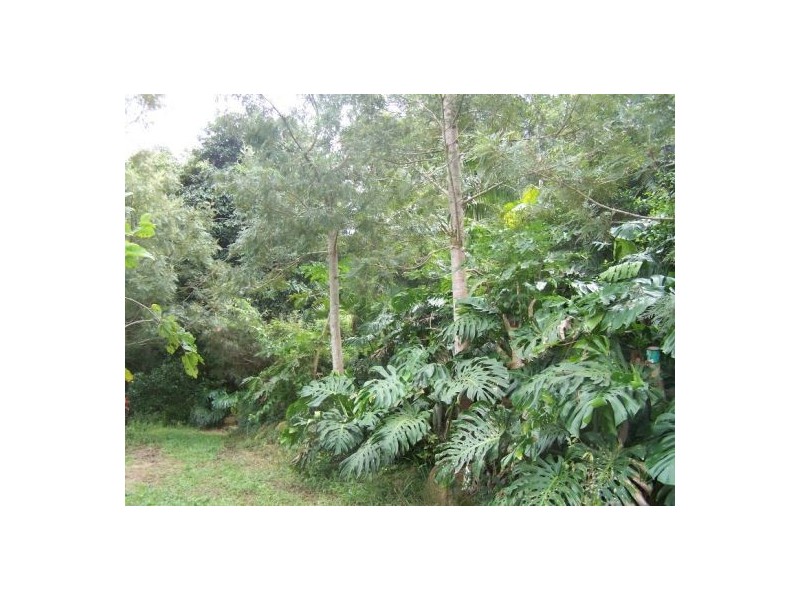 Mothar Mountain QLD 4570