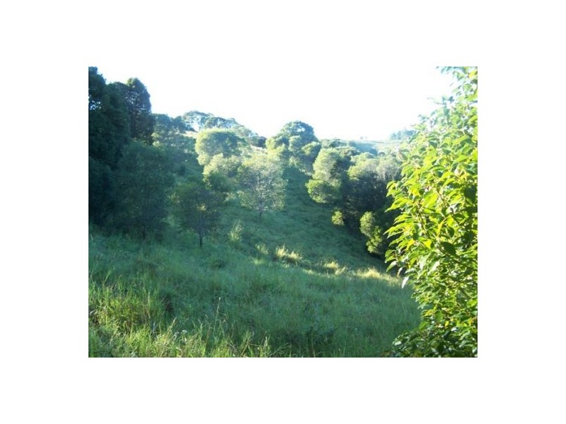 Canina QLD 4570