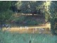 Canina QLD 4570