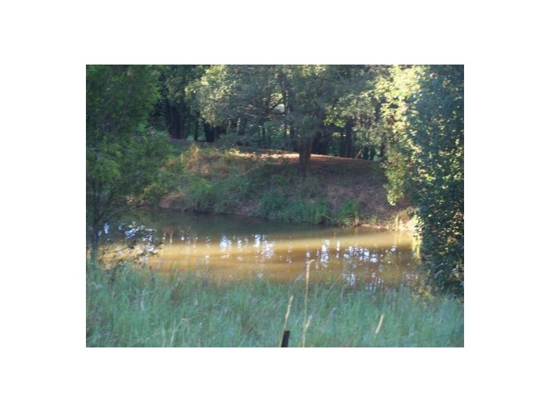 Canina QLD 4570
