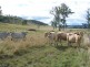 Gunalda QLD 4570