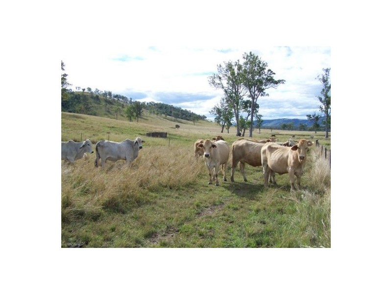 Gunalda QLD 4570