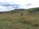 Gunalda QLD 4570
